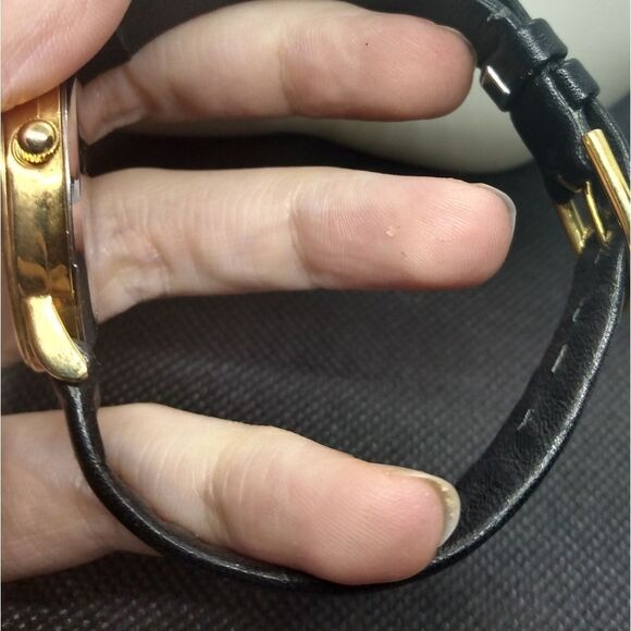 Golden cocker‎ spaniel watch needs batteries